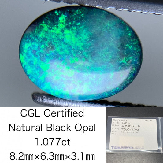 ブラックオパール 天然 1.077ct 中央宝石ソーティング付き 8.2㎜×6.3㎜×3.1㎜ ルース（ 裸石 ） 6703Y