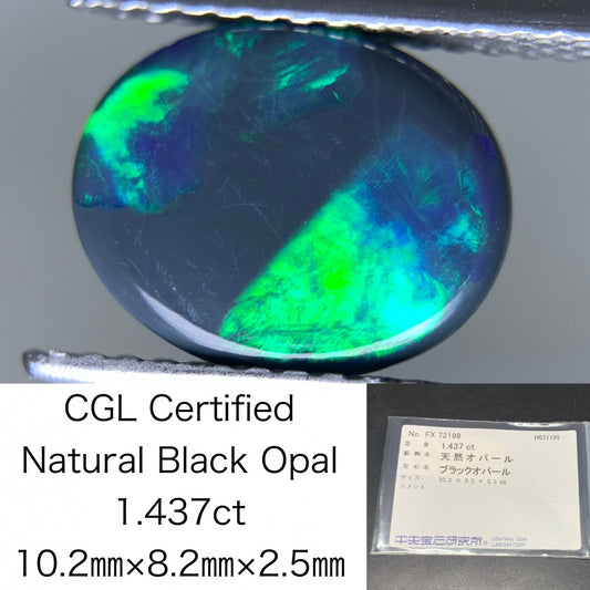ブラックオパール 天然  1.437ct  中央宝石ソーティング付き  10.2㎜×8.2㎜×2.5㎜  ルース（ 裸石 ） 5928Y