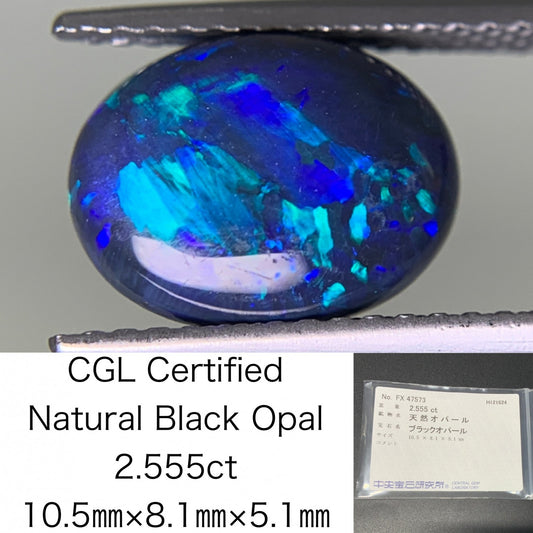 ブラックオパール  2.555ct  中央宝石ソーティング付き  10.5㎜×8.1㎜×5.1㎜  ルース（ 裸石 ） 3437Y