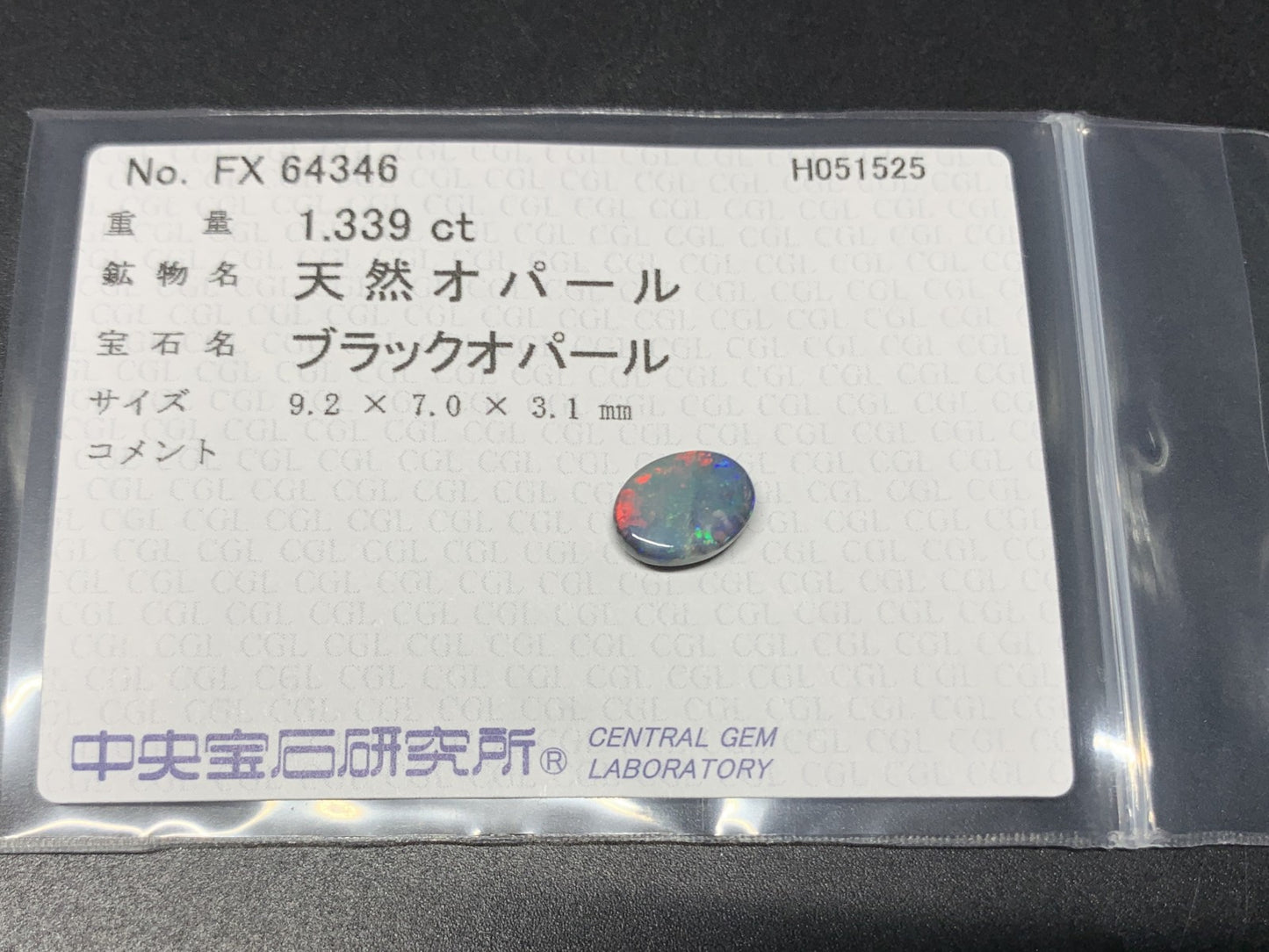 ブラックオパール 天然 1.339ct 中央宝石ソーティング付き 9.2㎜×7.0㎜×3.1㎜ 天然 ルース（ 裸石 ） 4919Y