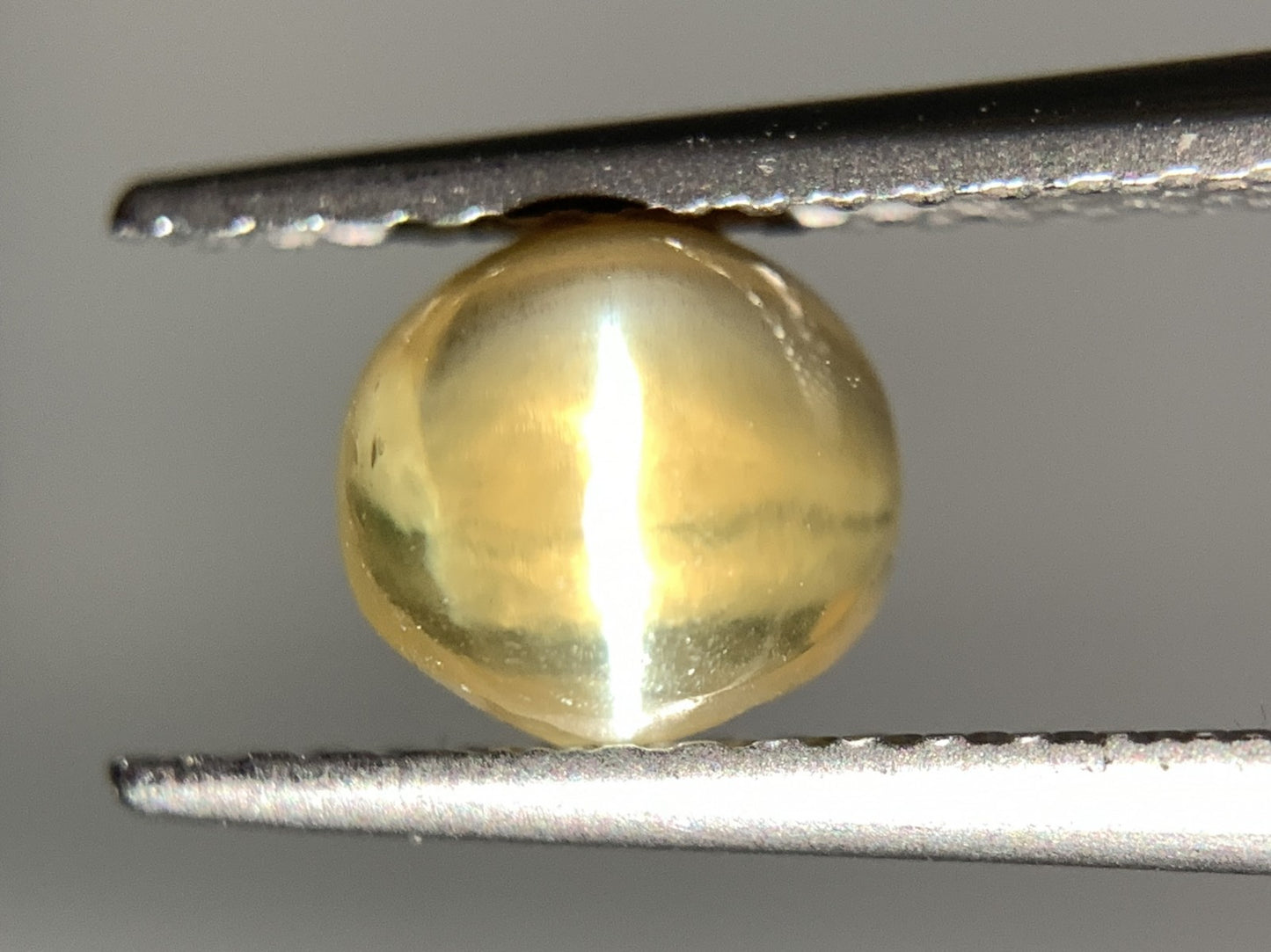クリソベリルキャッツアイ 天然  1.471ct  宝石ソーティング付き  6.1㎜×5.8㎜×4.0㎜ ルース（ 裸石 ）  5906Y