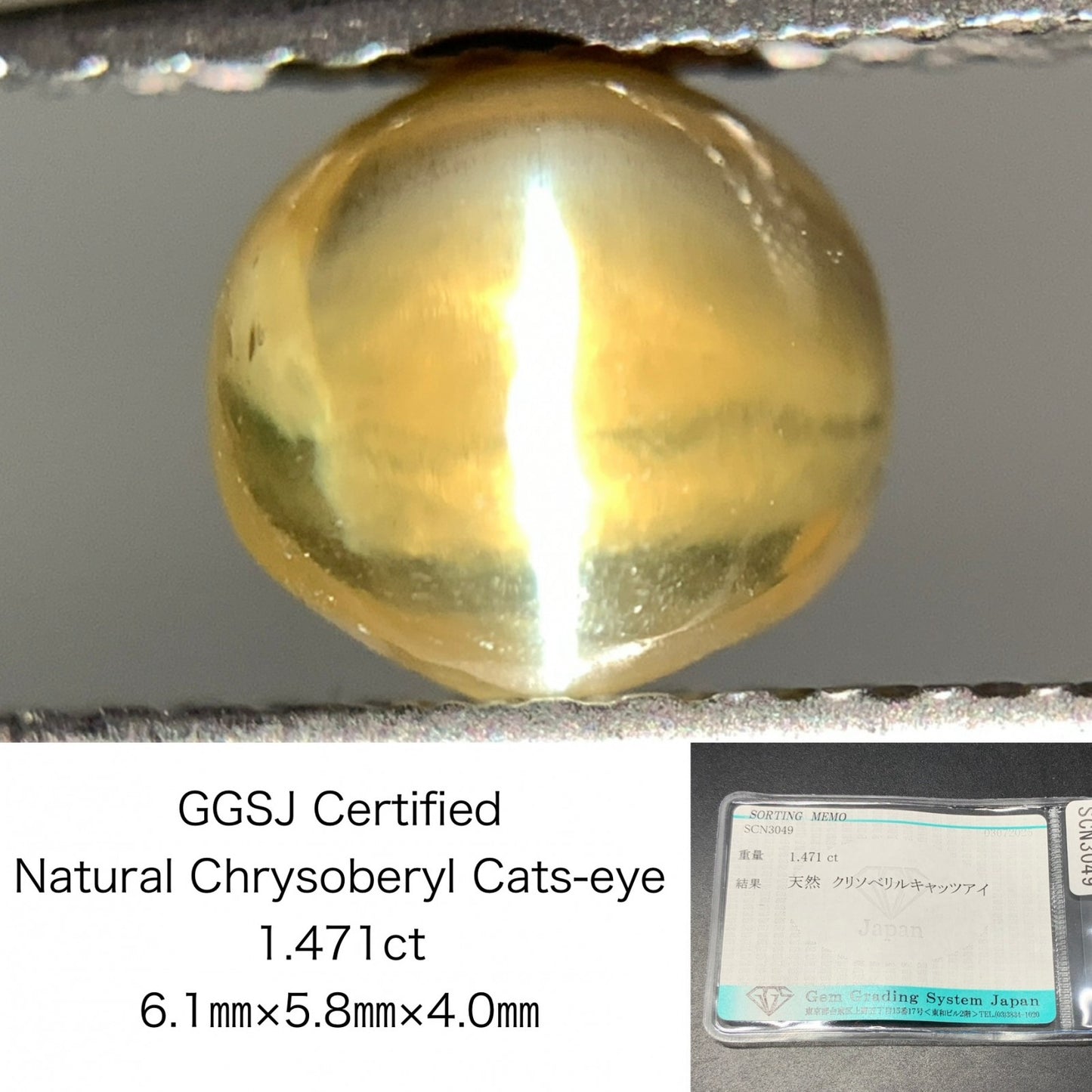 クリソベリルキャッツアイ 天然  1.471ct  宝石ソーティング付き  6.1㎜×5.8㎜×4.0㎜ ルース（ 裸石 ）  5906Y