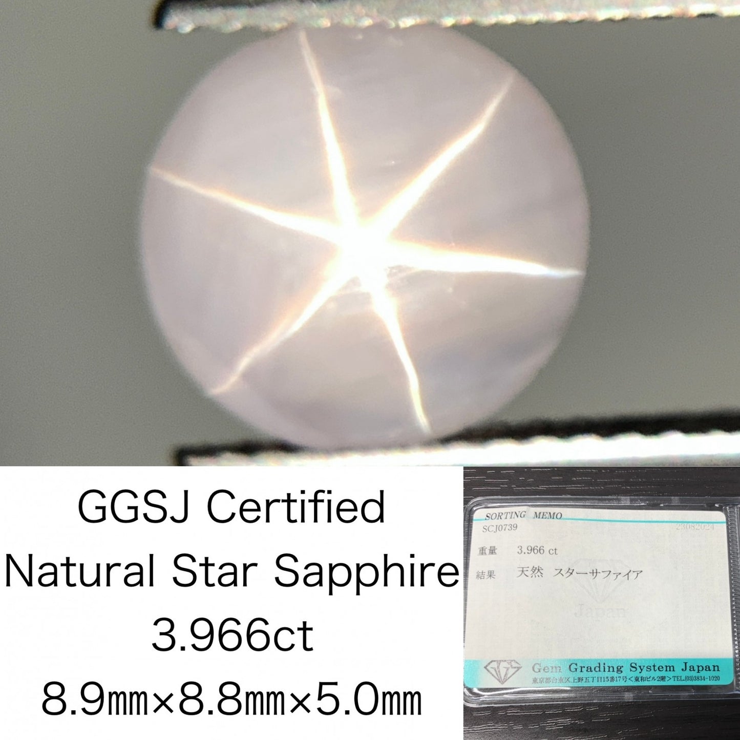 スターサファイア 3.966ct 宝石ソーティング付き  8.9㎜×8.8㎜×5.0㎜  ルース（ 裸石 ） 2466Y