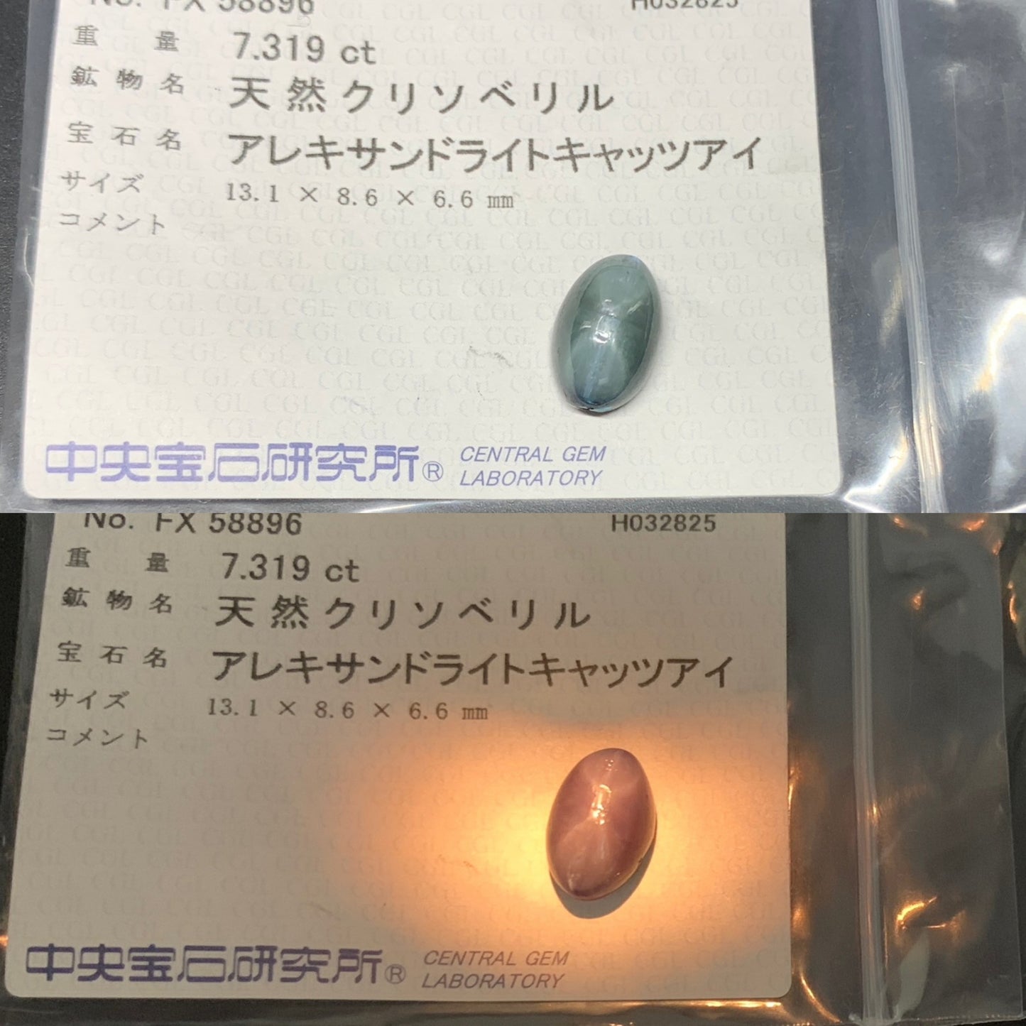アレキサンドライトキャッツアイ 天然 7.319ct 中央宝石ソーティング付き 13.1㎜×8.6㎜×6.6㎜ ルース（ 裸石 ） 5501Y
