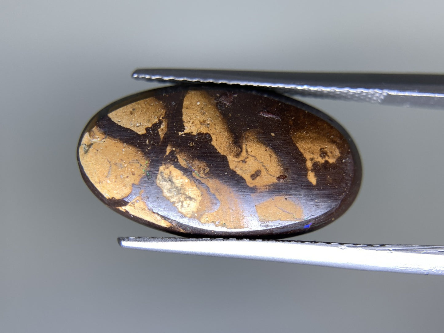 ボルダーオパール  天然  5.953ct  宝石ソーティング付き  18.7㎜×10.6㎜×3.4㎜  ルース（ 裸石 ）  5060Y