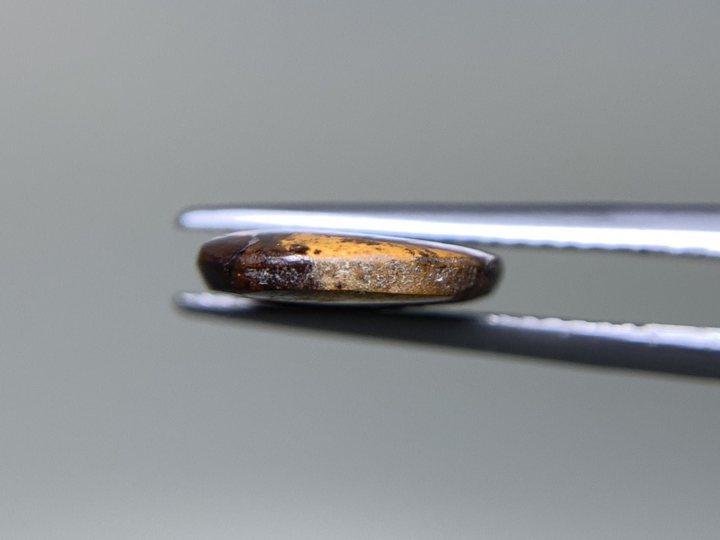 ボルダーオパール  天然  4.116ct  宝石ソーティング付き  20.9㎜×9.2㎜×2.5㎜  ルース（ 裸石 ）  5182Y