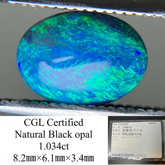 ブラックオパール 1.034ct  中央宝石ソーティング付き  8.2㎜×6.1㎜×3.4㎜  天然 ルース（ 裸石 ） 4366YY