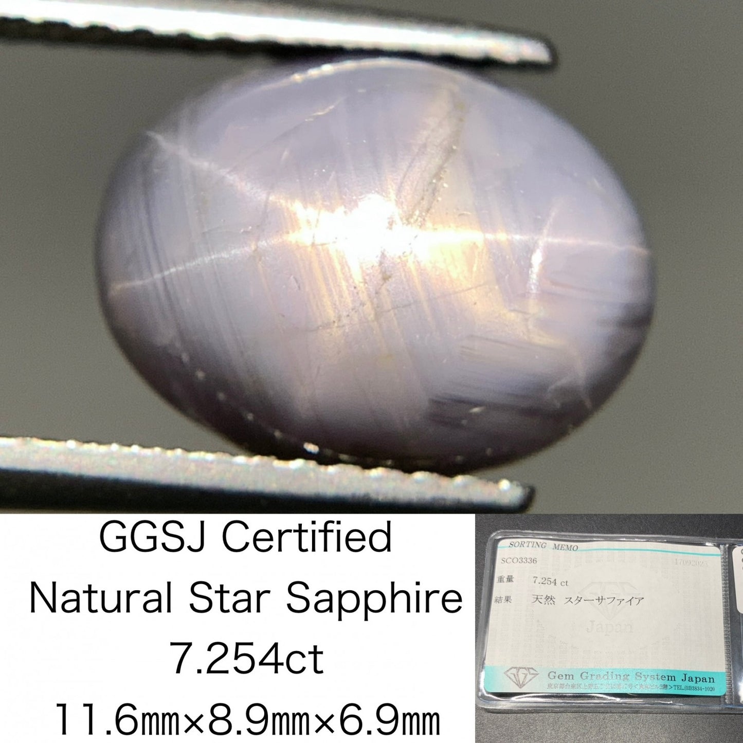 スターサファイア 天然 7.254ct 宝石ソーティング付き 11.6㎜×8.9㎜×6.9㎜ ルース（ 裸石 ） 6880Y