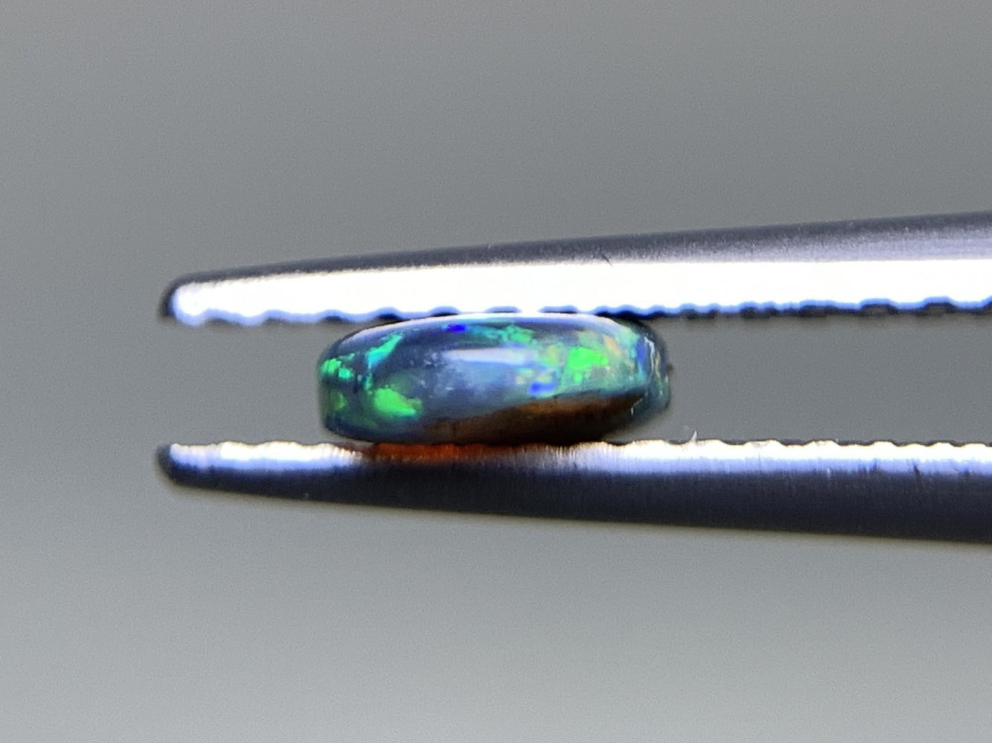 ブラックオパール  天然  0.562ct  宝石ソーティング付き  8.0㎜×5.3㎜×2.0㎜  ルース（ 裸石 ）  5181Y