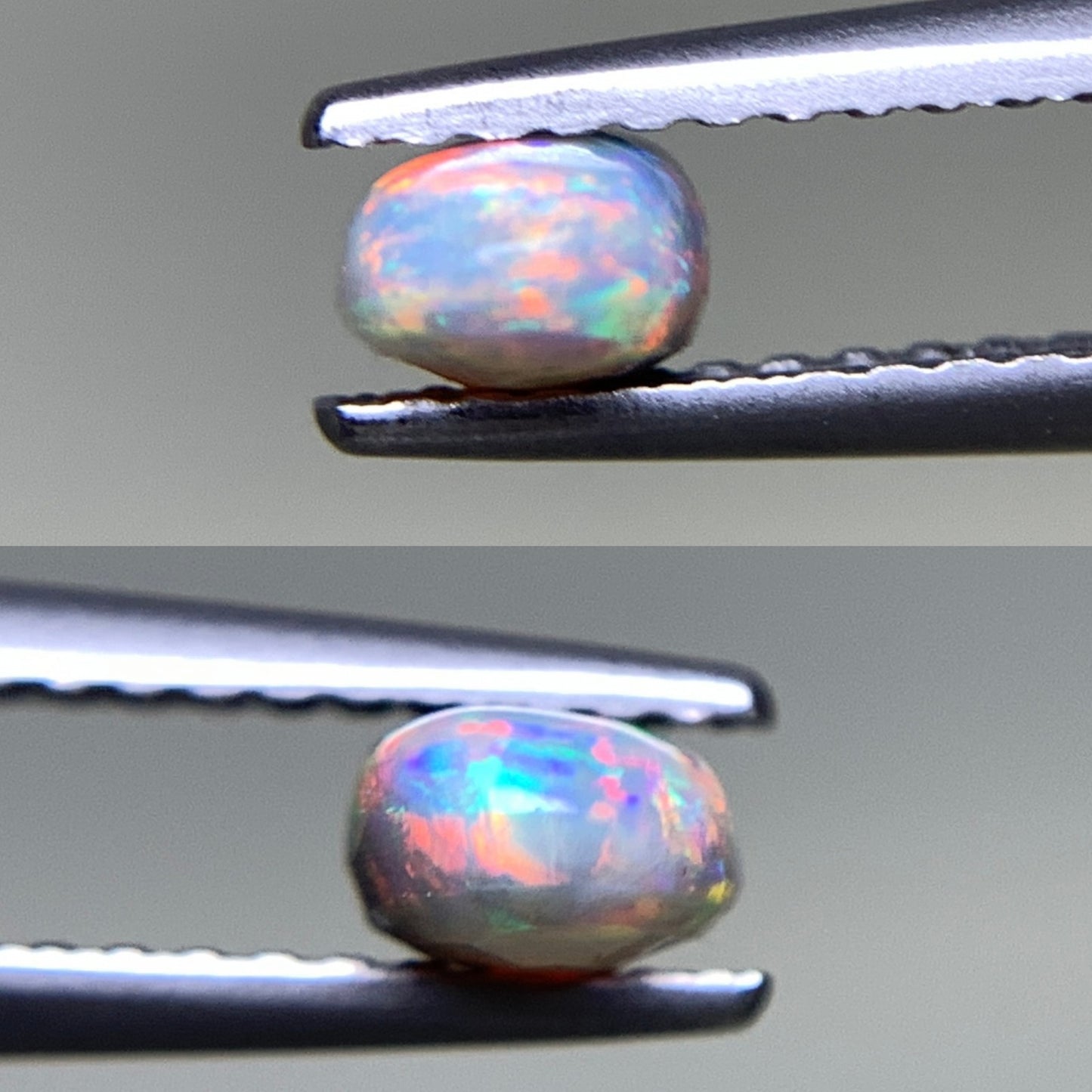 ブラックオパール  天然  0.596ct  宝石ソーティング付き  7.0㎜×4.4㎜×2.9㎜  ルース（ 裸石 ）  5100Y