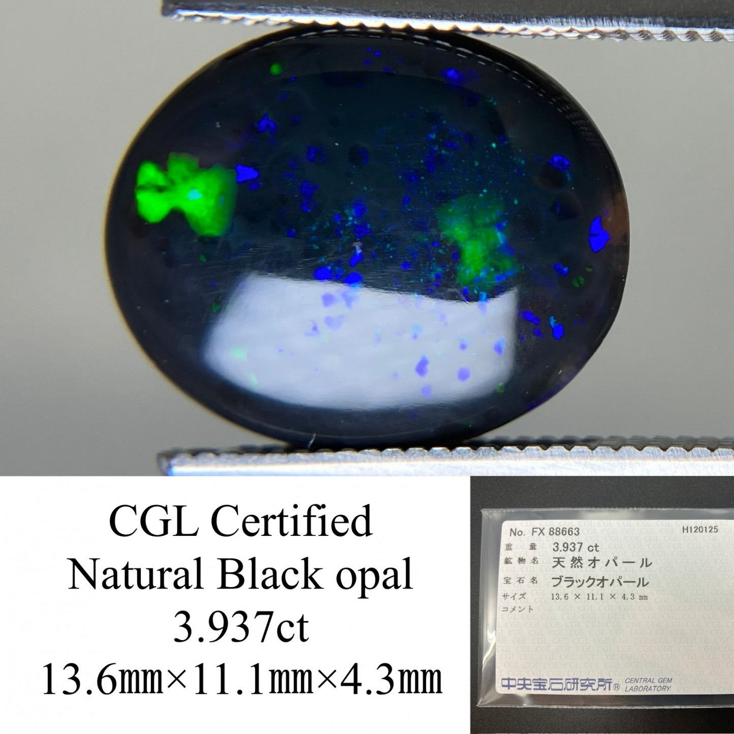 ブラックオパール 天然 3.937ct 中央宝石ソーティング付き 13.6㎜×11.1㎜×4.3㎜ ルース（ 裸石 ） 7549YY