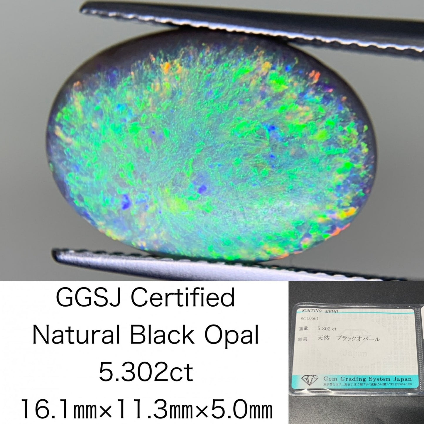ブラックオパール 5.302ct 宝石ソーティング付き  16.1㎜×11.3㎜×5.0㎜  ルース（ 裸石 ） 3778Y