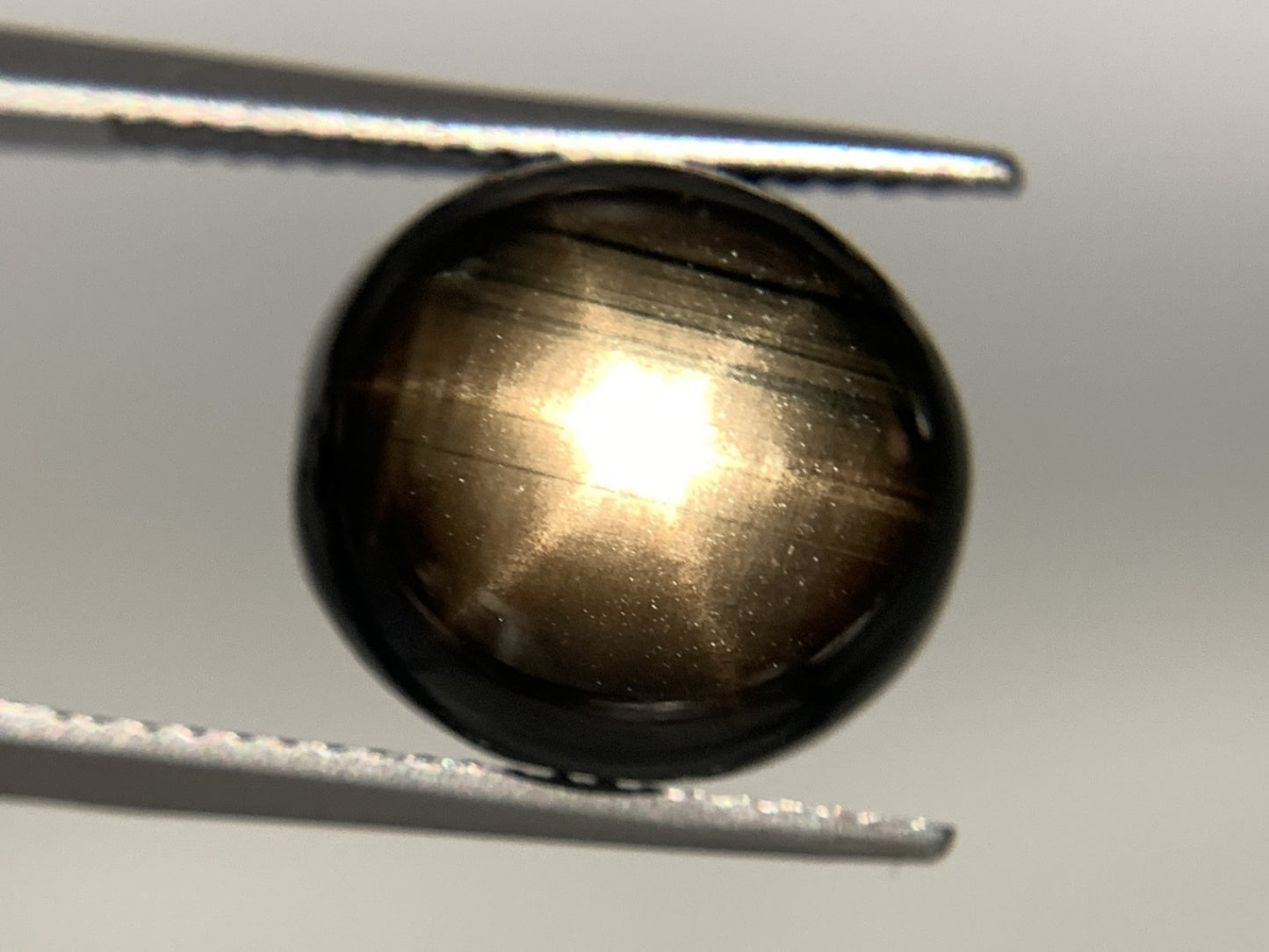 ブラックスターサファイア 13.416ct 宝石ソーティング付き  12.4㎜×11.4㎜×7.8㎜  ルース（ 裸石 ） 2485Y