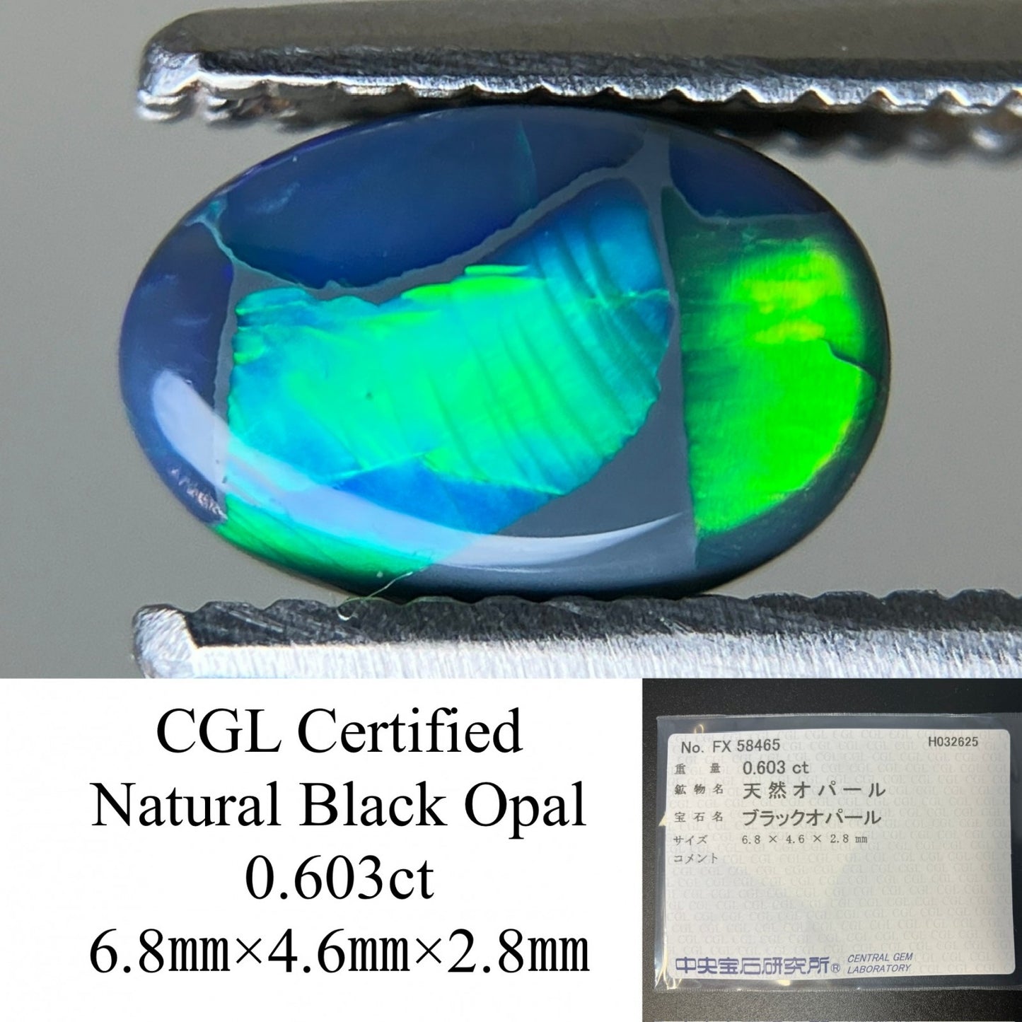 ブラックオパール 0.603ct  中央宝石ソーティング付き  6.8㎜×4.6㎜×2.8㎜  天然 ルース（ 裸石 ） 4517YY