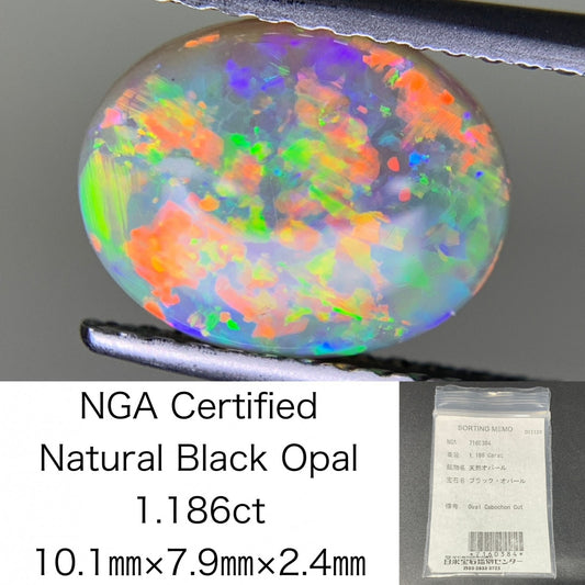 ブラックオパール 1.186ct 宝石ソーティング付き  10.1㎜×7.9㎜×2.4㎜  ルース（ 裸石 ） 3848Y