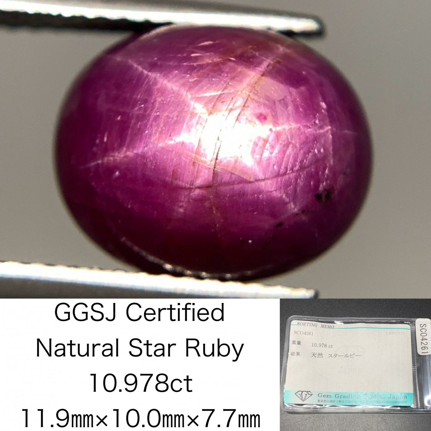 スタールビー 天然 10.978ct 宝石ソーティング付き 11.9㎜×10.0㎜×7.7㎜ ルース（ 裸石 ） 6944Y