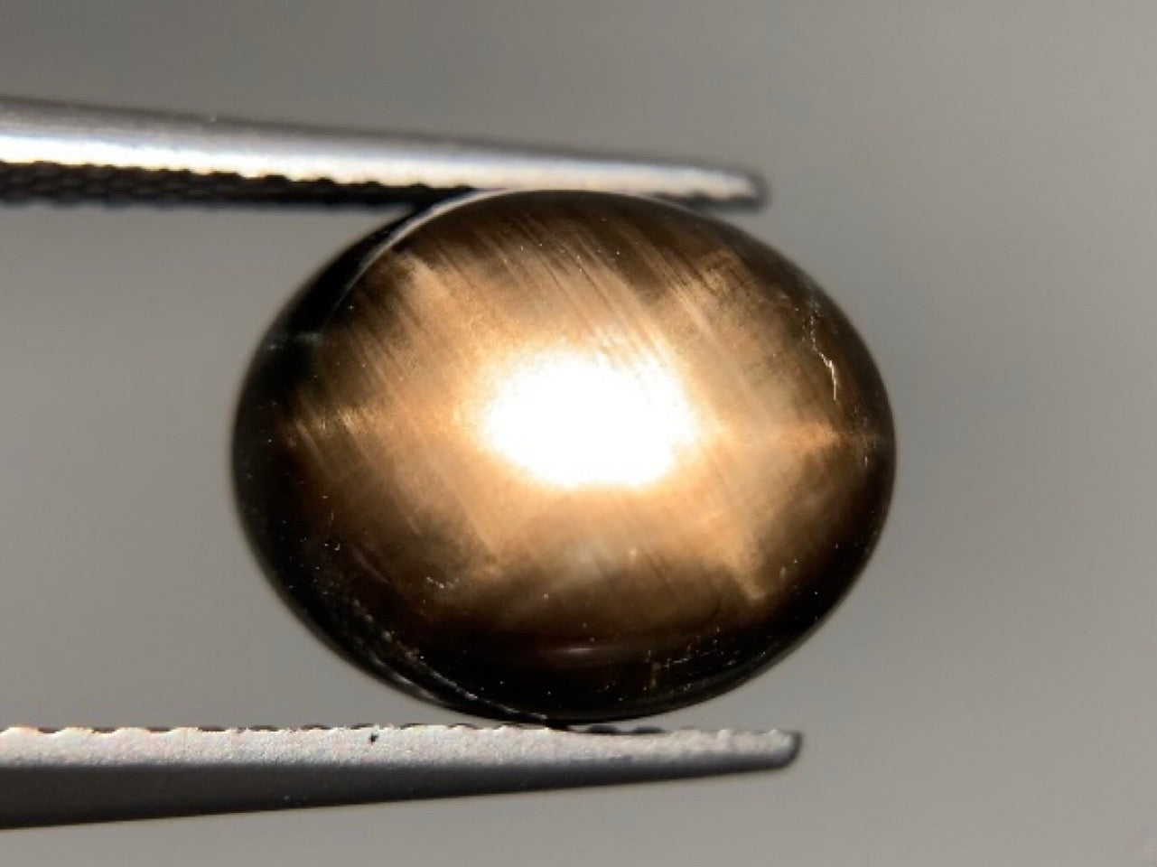 ブラックスターサファイア 天然 6.486ct 宝石ソーティング付き 11.9㎜×9.8㎜×4.8㎜ ルース（ 裸石 ） 7971Y