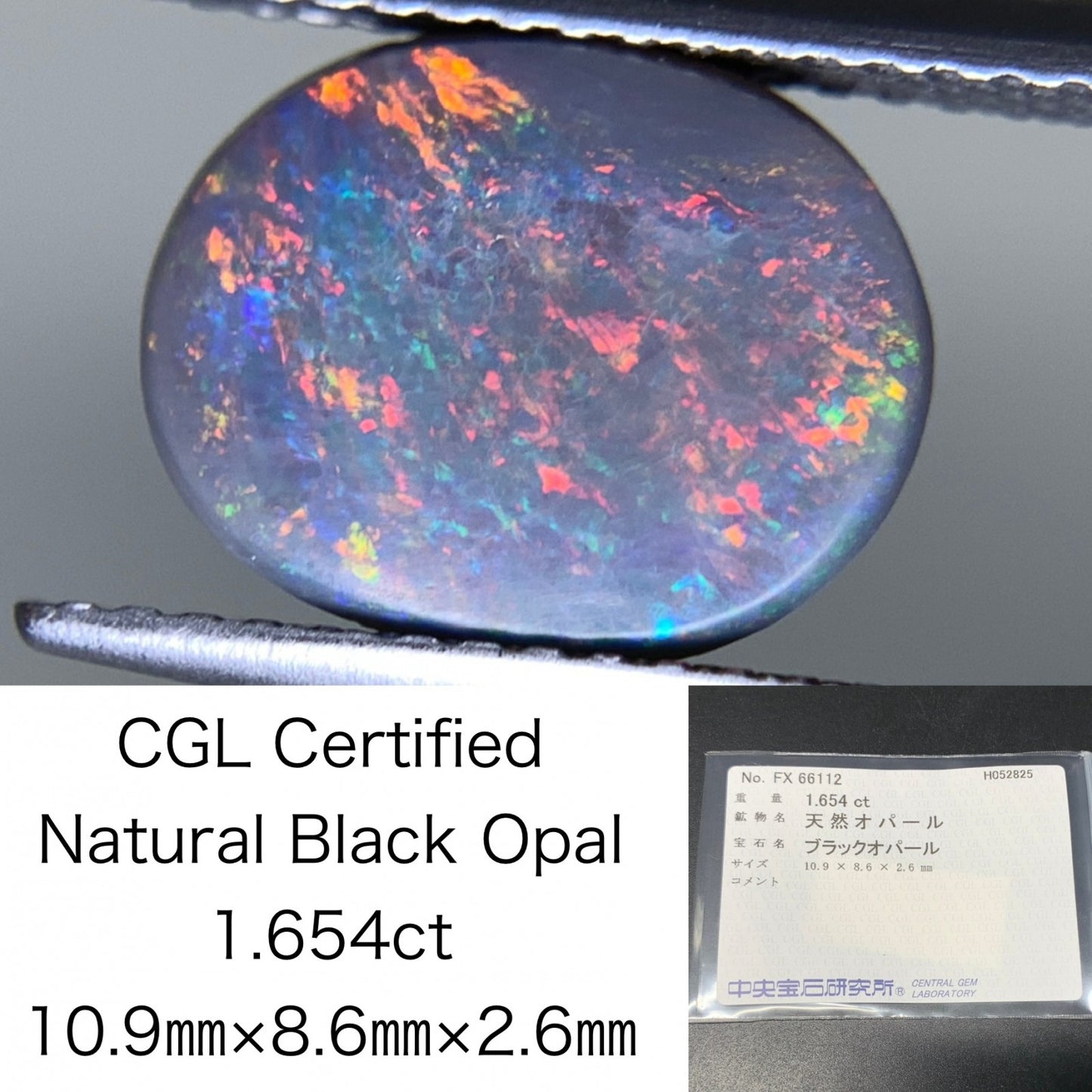 ブラックオパール  天然  1.654ct  中央宝石ソーティング付き  10.9㎜×8.6㎜×2.6㎜   天然 ルース（ 裸石 ） 5203Y