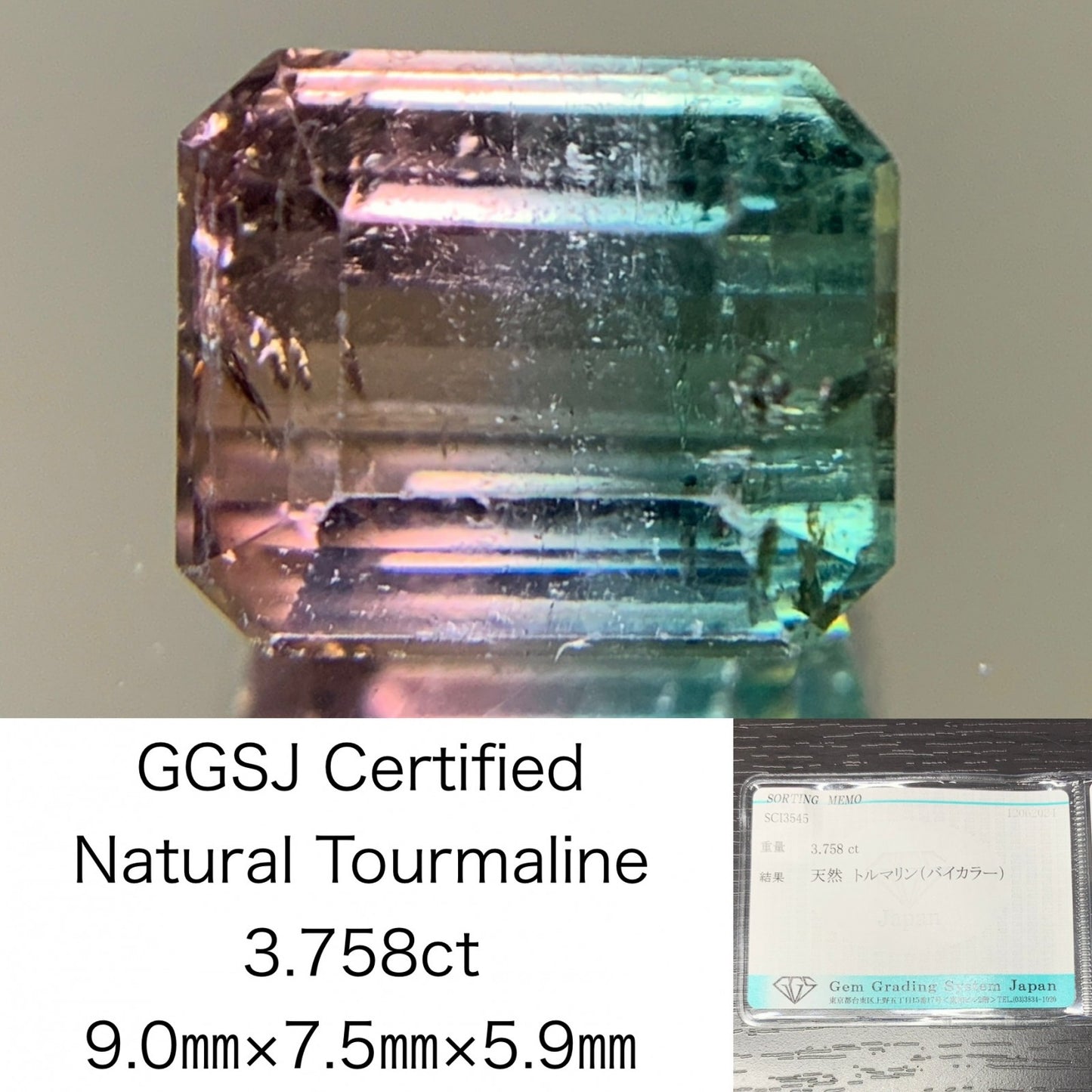 トルマリン （バイカラー） 3.758ct  宝石ソーティング付き  9.0㎜×7.5㎜×5.9㎜  ルース（ 裸石 ） 1997Y