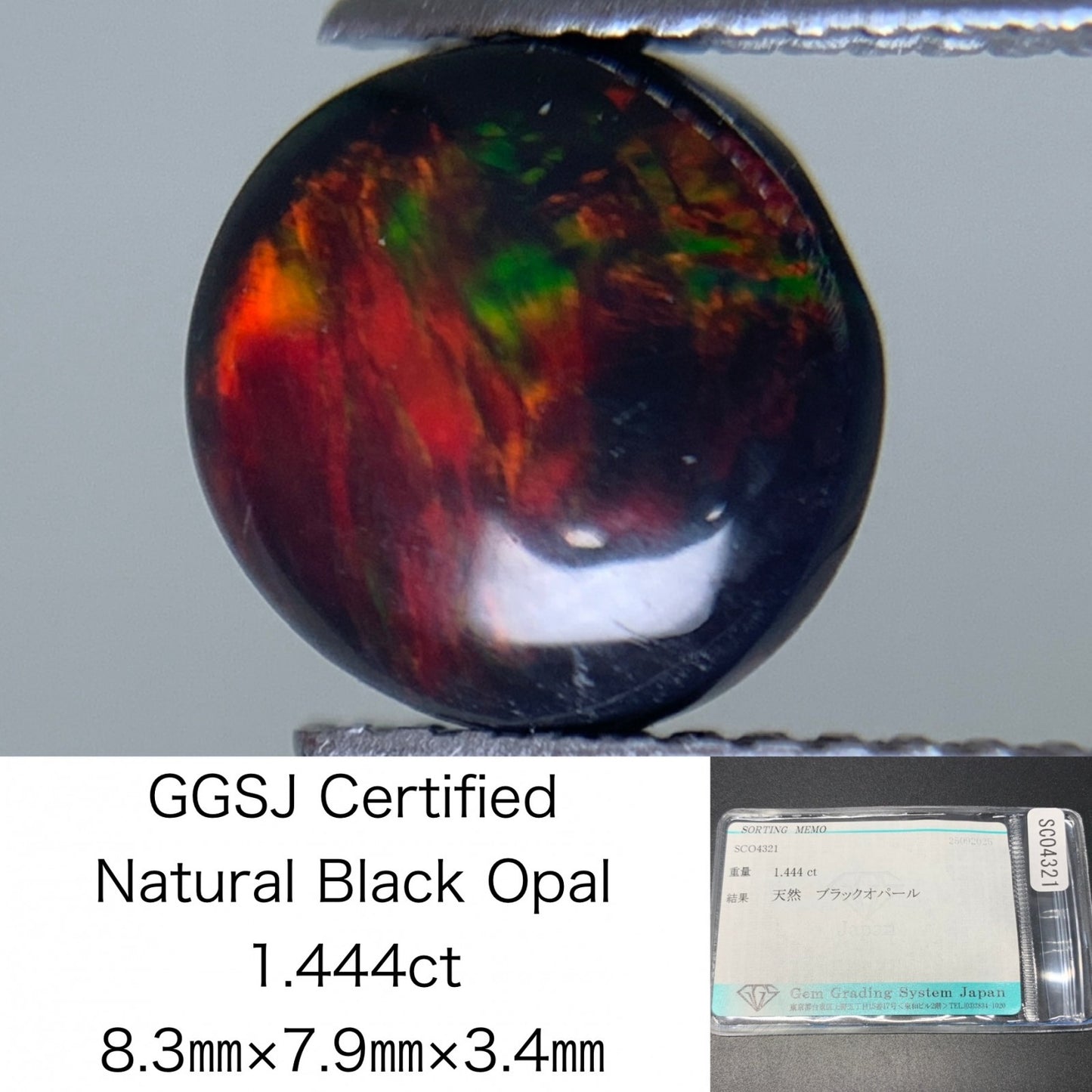 ブラックオパール 天然 1.444ct 宝石ソーティング付き 8.3㎜×7.9㎜×3.4㎜ ルース（ 裸石 ） 6950Y