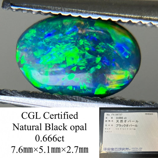 ブラックオパール 0.666ct  中央宝石ソーティング付き  7.6㎜×5.1㎜×2.7㎜  天然 ルース（ 裸石 ） 4645YY