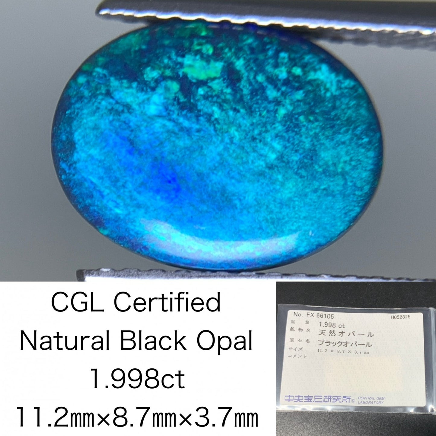 ブラックオパール  天然  1.998ct  中央宝石ソーティング付き  11.2㎜×8.7㎜×3.7㎜   天然 ルース（ 裸石 ） 5088Y
