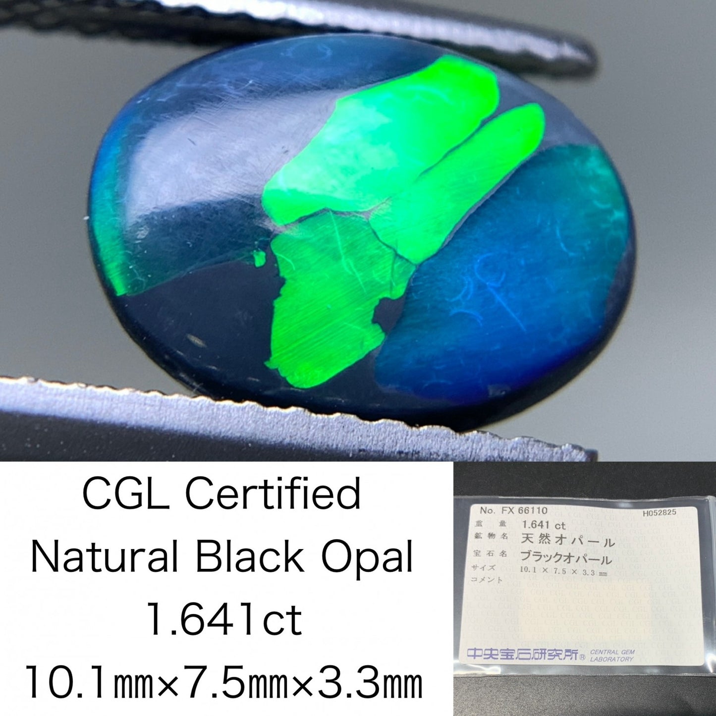 ブラックオパール  天然  1.641ct  中央宝石ソーティング付き  10.1㎜×7.5㎜×3.3㎜   天然 ルース（ 裸石 ） 5186Y