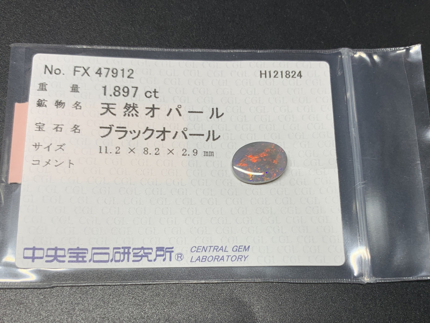 ブラックオパール 1.897ct 中央宝石ソーティング付き 11.2㎜×8.2㎜×2.9㎜ ルース（ 裸石 ） 3539Y