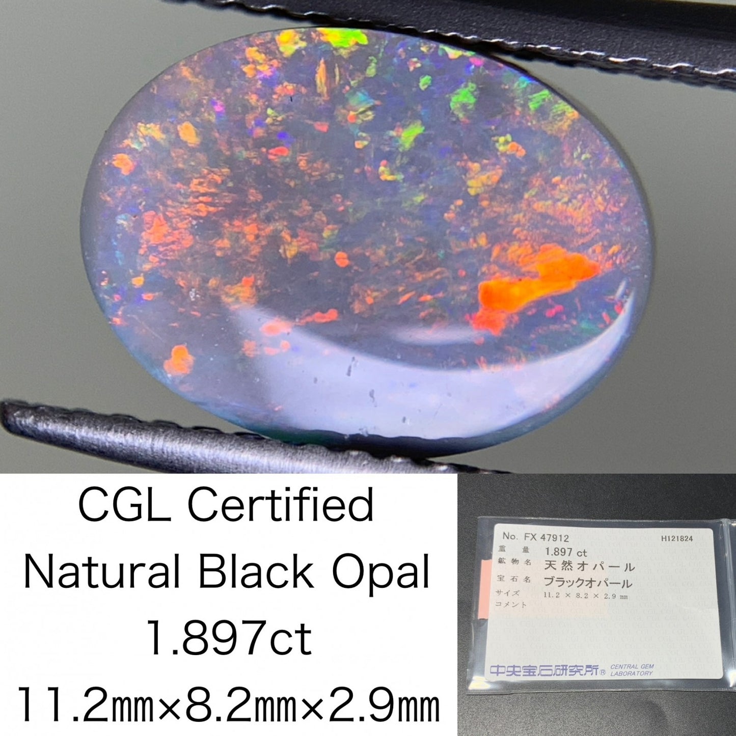 ブラックオパール 1.897ct 中央宝石ソーティング付き 11.2㎜×8.2㎜×2.9㎜ ルース（ 裸石 ） 3539Y