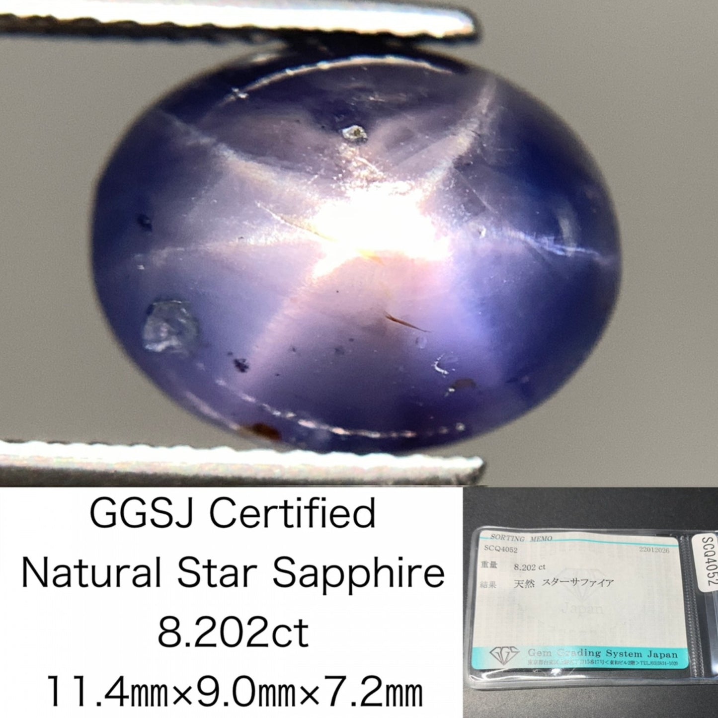 スターサファイア 天然 8.202ct 宝石ソーティング付き 11.4㎜×9.0㎜×7.2㎜ ルース（ 裸石 ） 8124Y