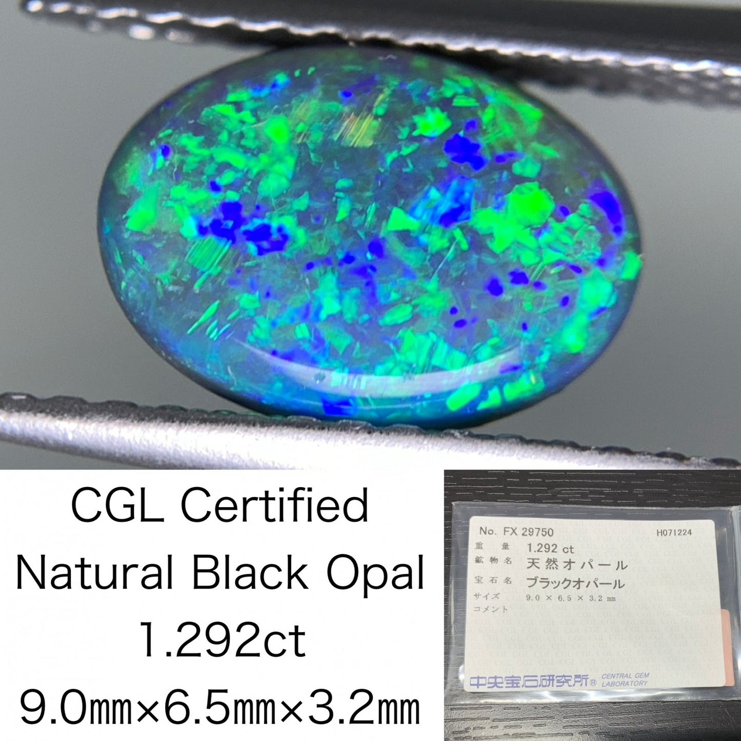 ブラックオパール 1.292ct 宝石ソーティング付き  9.0㎜×6.5㎜×3.2㎜  ルース（ 裸石 ） 2230Y