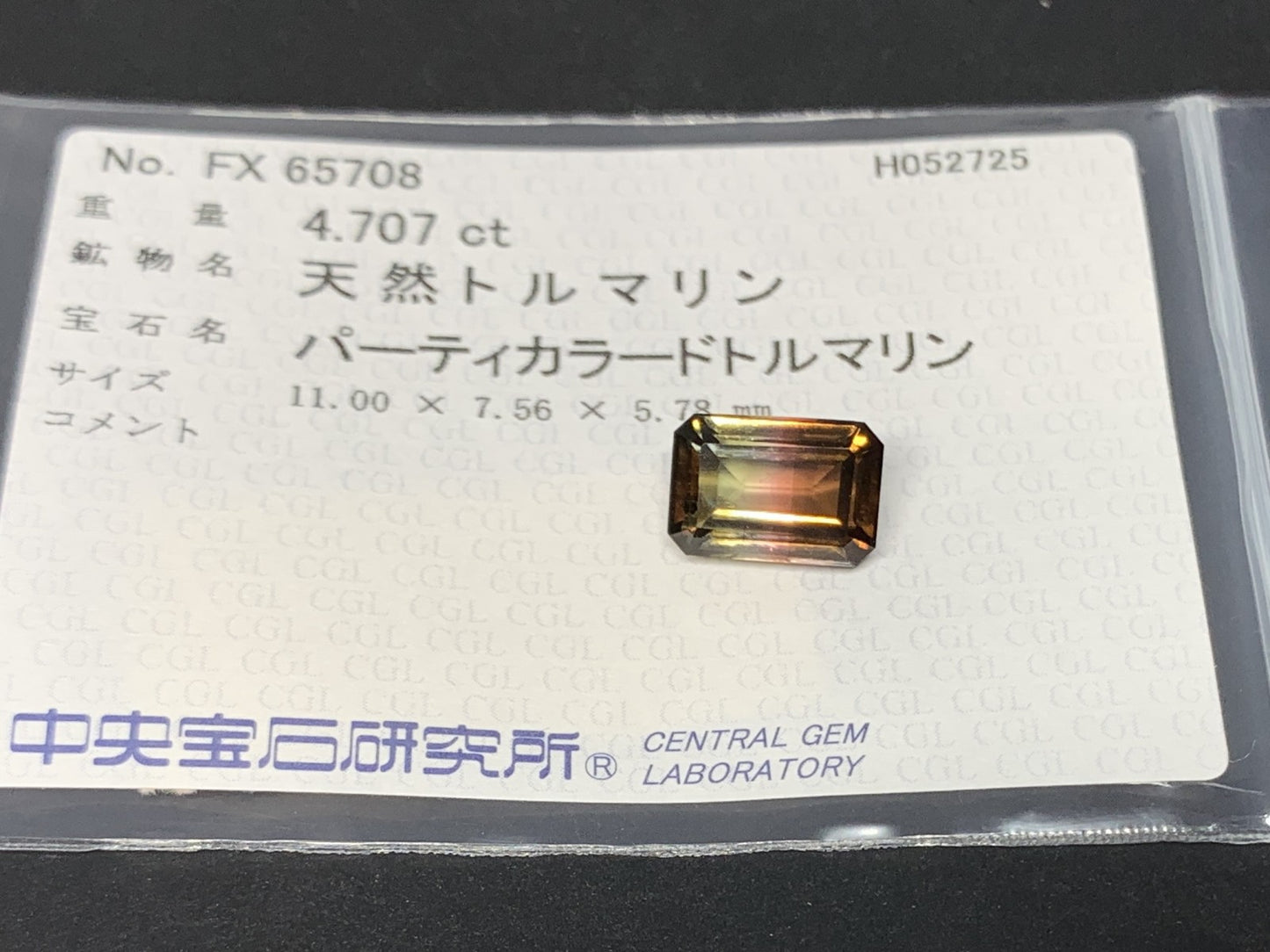 パーティカラードトルマリン 天然 4.707ct 中央宝石ソーティング付き 11.00㎜×7.56㎜×5.78㎜ 天然 ルース（ 裸石 ） 5134Y