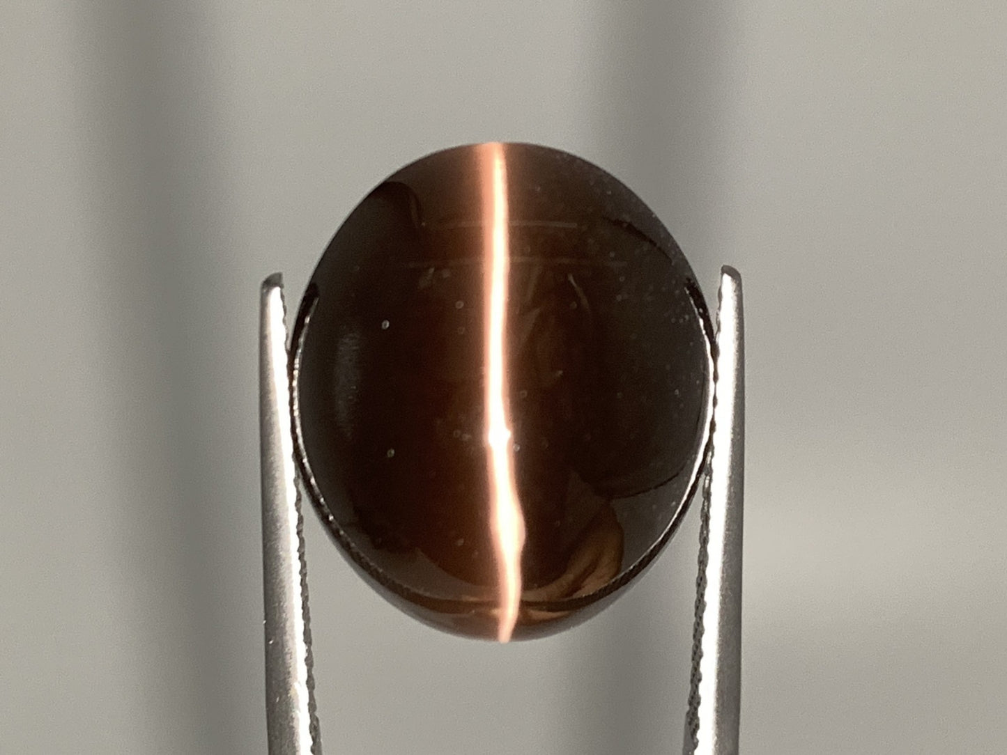 シリマナイトキャッツアイ 天然 23.587ct 宝石ソーティング付き 17.7㎜×14.5㎜×10.6㎜ ルース（ 裸石 ） 8145Y