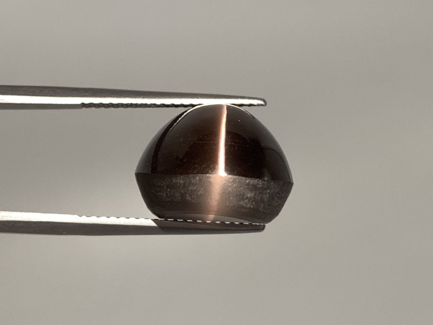 シリマナイトキャッツアイ 天然 23.587ct 宝石ソーティング付き 17.7㎜×14.5㎜×10.6㎜ ルース（ 裸石 ） 8145Y