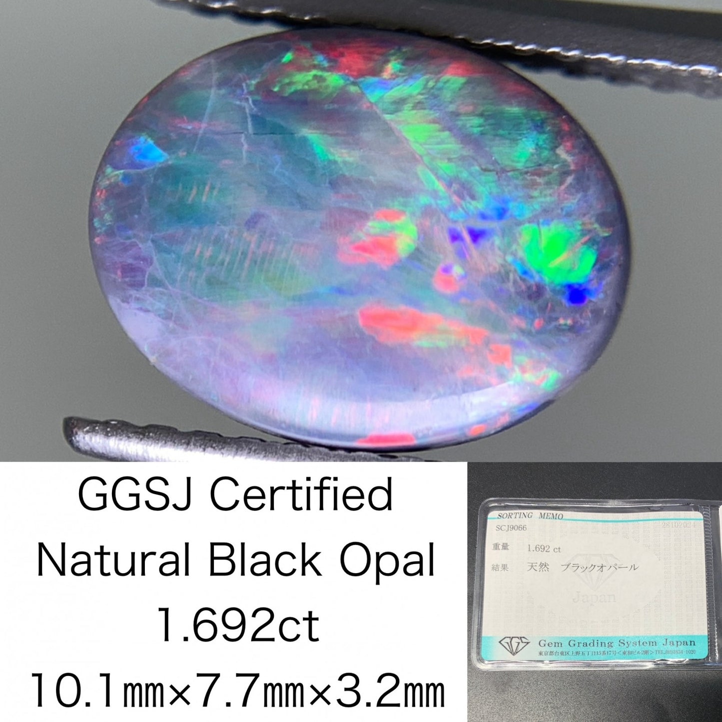 ブラックオパール 1.692ct 宝石ソーティング付き  10.1㎜×7.7㎜×3.2㎜  ルース（ 裸石 ） 3048Y