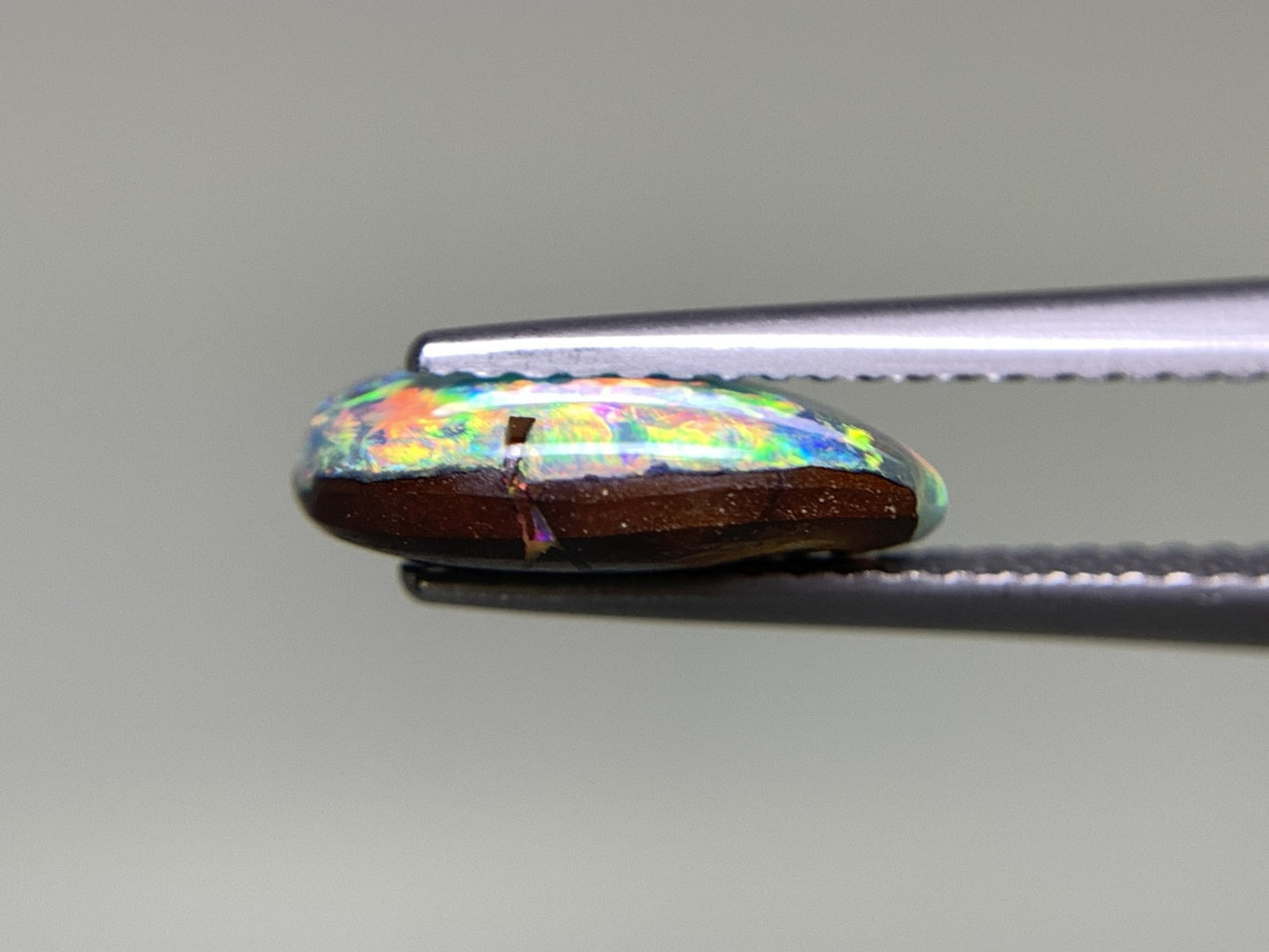 ボルダーオパール 2.527ct 宝石ソーティング付き  11.6㎜×8.3㎜×3.4㎜  ルース（ 裸石 ） 2431Y