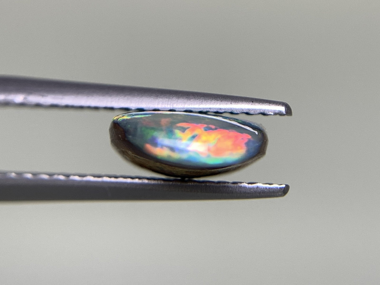 ボルダーオパール 2.527ct 宝石ソーティング付き  11.6㎜×8.3㎜×3.4㎜  ルース（ 裸石 ） 2431Y