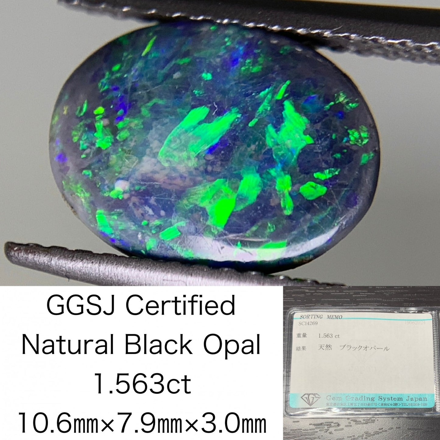 ブラックオパール 1.563ct 宝石ソーティング付き 10.6㎜×7.9㎜×3.0㎜ ルース（ 裸石 ） 2040Y