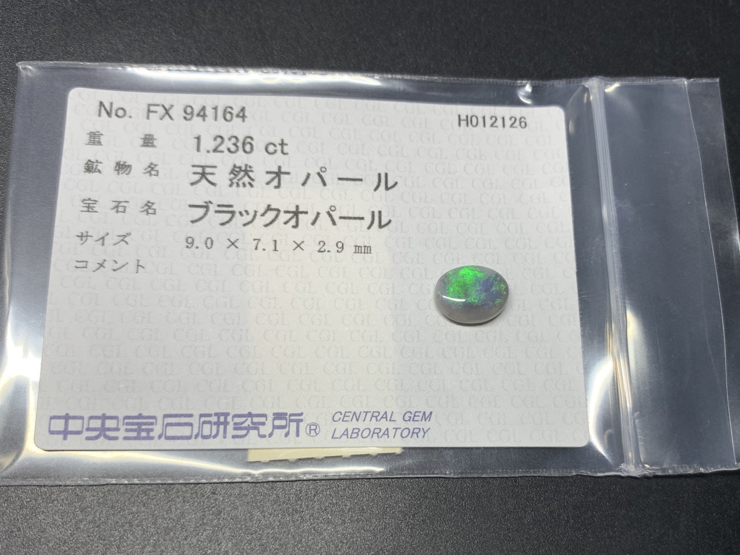 ブラックオパール 天然 1.236ct 中央宝石ソーティング付き 9.0㎜×7.1㎜×2.9㎜ ルース（ 裸石 ） 8063Y
