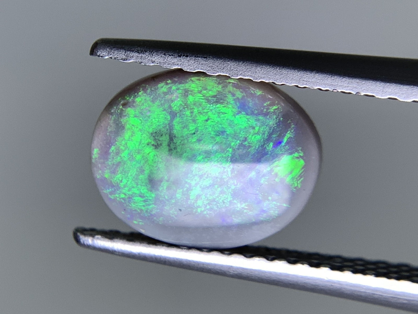 ブラックオパール 天然 1.236ct 中央宝石ソーティング付き 9.0㎜×7.1㎜×2.9㎜ ルース（ 裸石 ） 8063Y