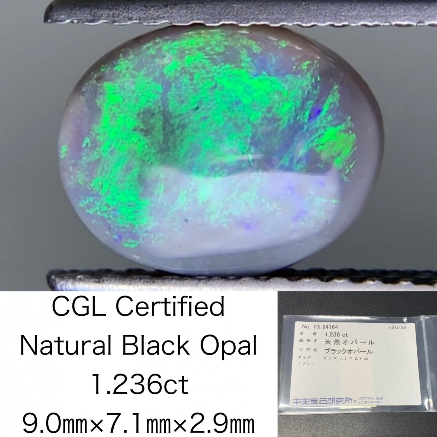 ブラックオパール 天然 1.236ct 中央宝石ソーティング付き 9.0㎜×7.1㎜×2.9㎜ ルース（ 裸石 ） 8063Y