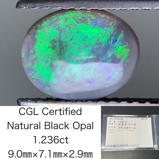 ブラックオパール 天然 1.236ct 中央宝石ソーティング付き 9.0㎜×7.1㎜×2.9㎜ ルース（ 裸石 ） 8063Y