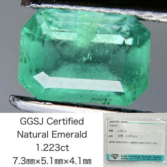 エメラルド 1.223ct 宝石ソーティング付き 7.3㎜×5.1㎜×4.1㎜ ルース（ 裸石 ） 3202S