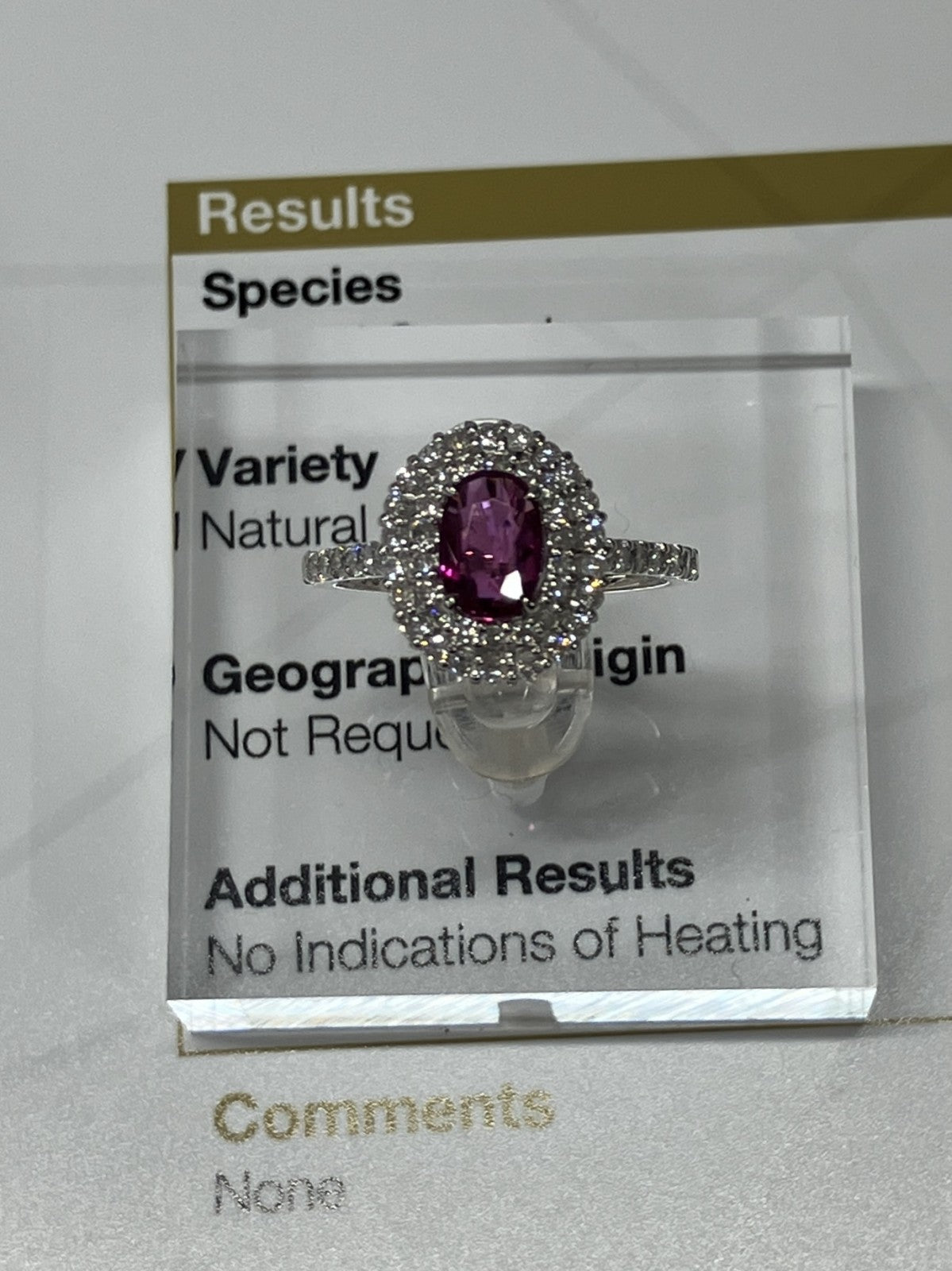 ルビー 1.02ct 非加熱 No heat GIA鑑別書 D0.72ct PT900 5.2g 指輪 （JP13号） サイズ直し無料 9292K