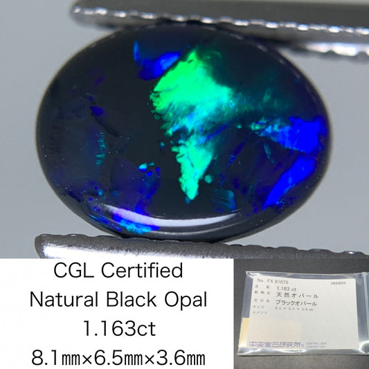 ブラックオパール 天然 1.163ct 中央宝石ソーティング付き 8.1㎜×6.5㎜×3.6㎜ ルース（ 裸石 ） 6915Y