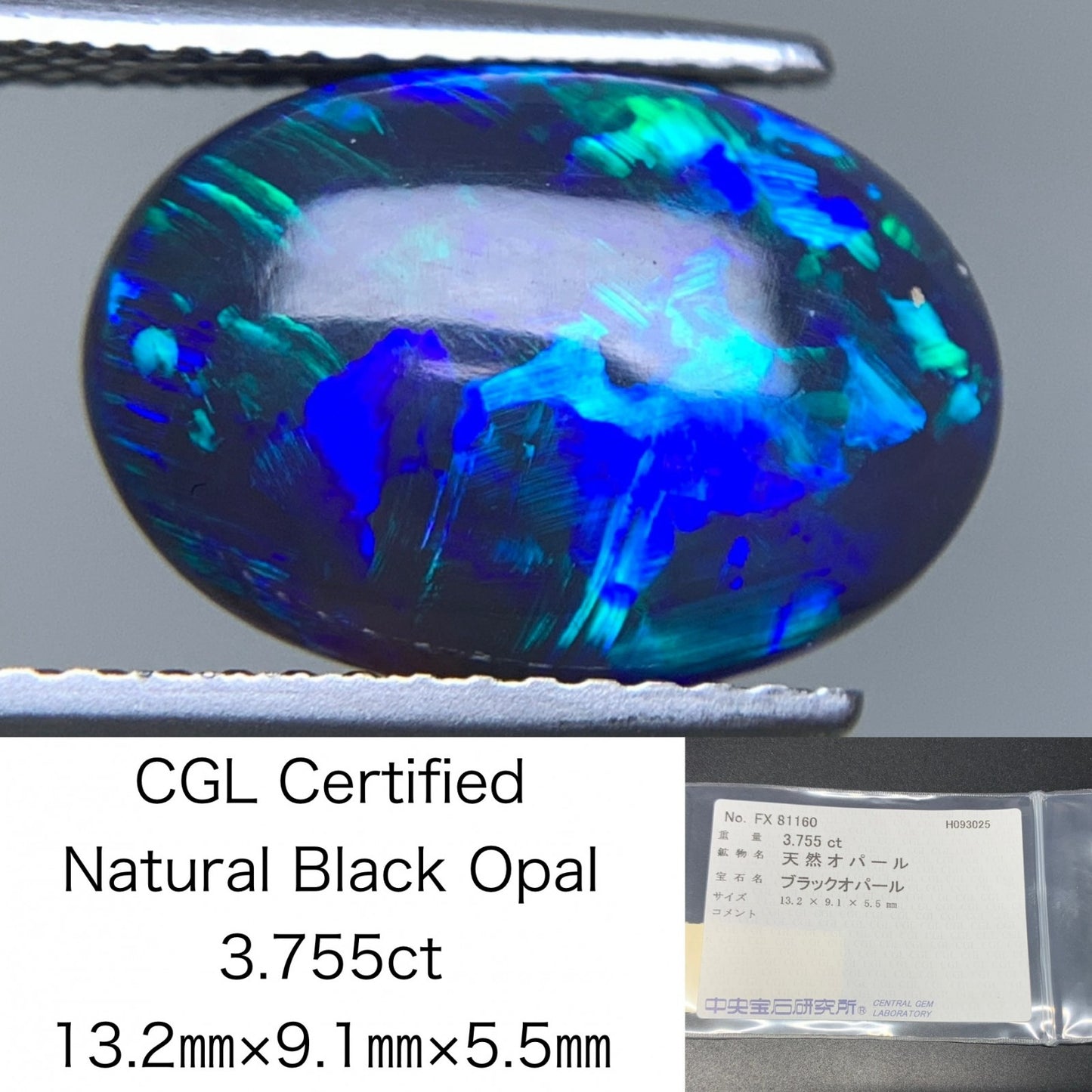 ブラックオパール 天然 3.755ct 中央宝石ソーティング付き 13.2㎜×9.1㎜×5.5㎜ ルース（ 裸石 ） 6917Y