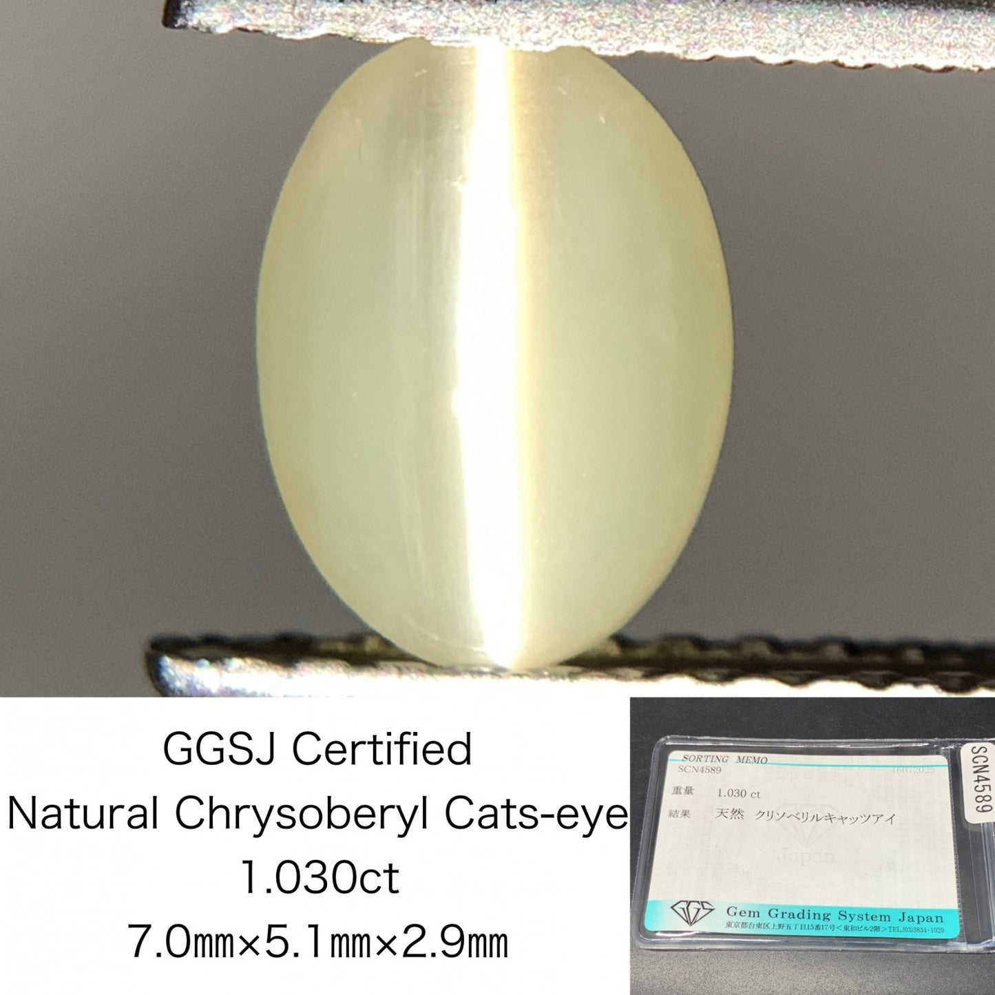 クリソベリルキャッツアイ 天然  1.030ct  宝石ソーティング付き  7.0㎜×5.1㎜×2.9㎜ ルース（ 裸石 ）  6074Y