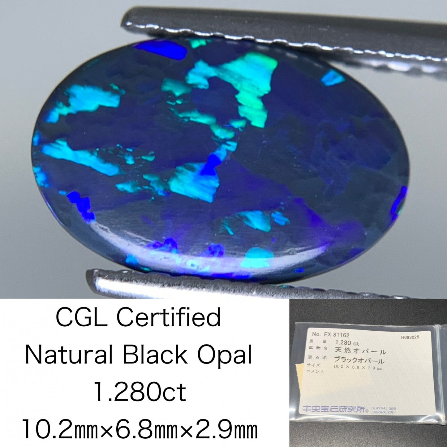 ブラックオパール 天然 1.280ct 中央宝石ソーティング付き 10.2㎜×6.8㎜×2.9㎜ ルース（ 裸石 ） 6920Y