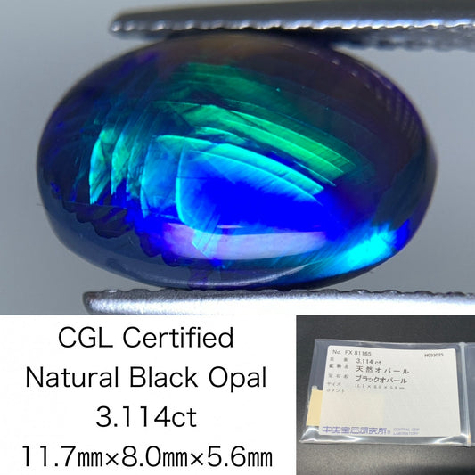 ブラックオパール 天然 3.114ct 中央宝石ソーティング付き 11.7㎜×8.0㎜×5.6㎜ ルース（ 裸石 ） 6928Y