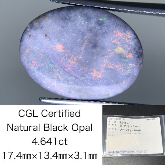ブラックオパール 天然 4.641ct 中央宝石ソーティング付き 17.4㎜×13.4㎜×3.1㎜ 天然 ルース（ 裸石 ） 5201Y
